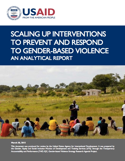 Stepping Stones and GBV – USAID report